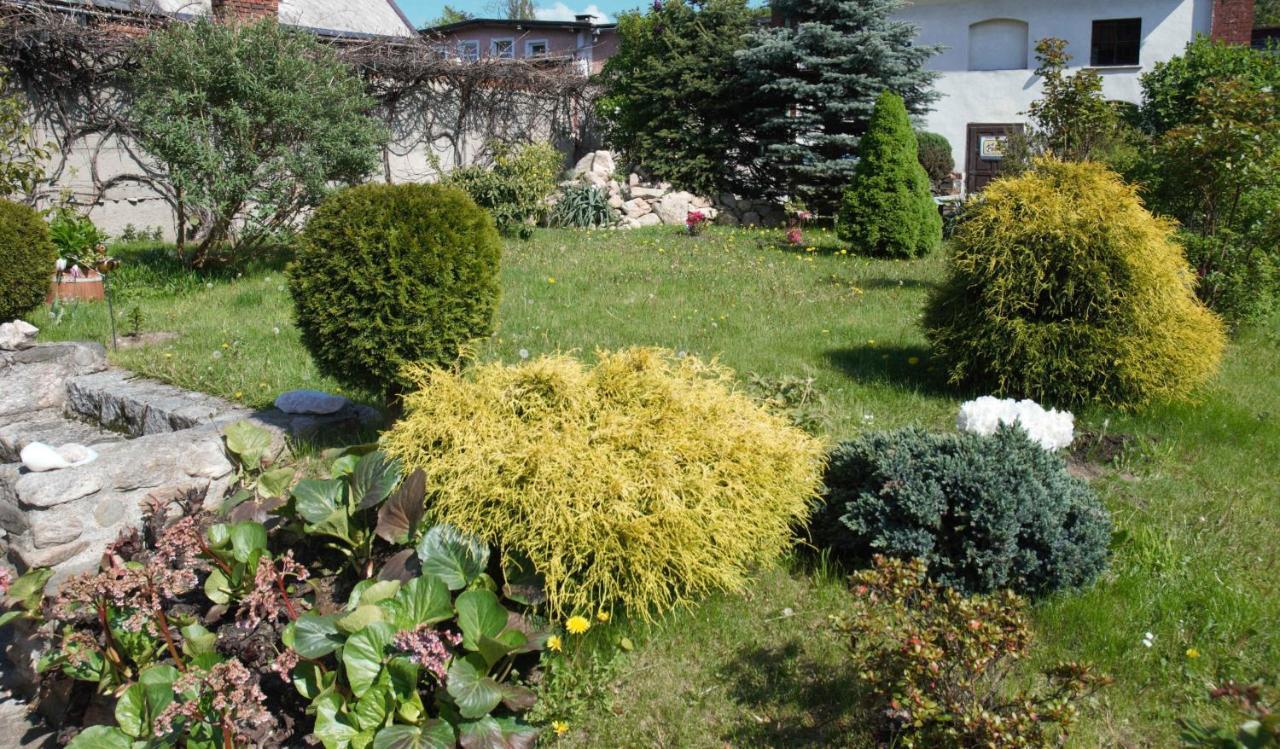 Domek U Domny Kowary Exterior foto